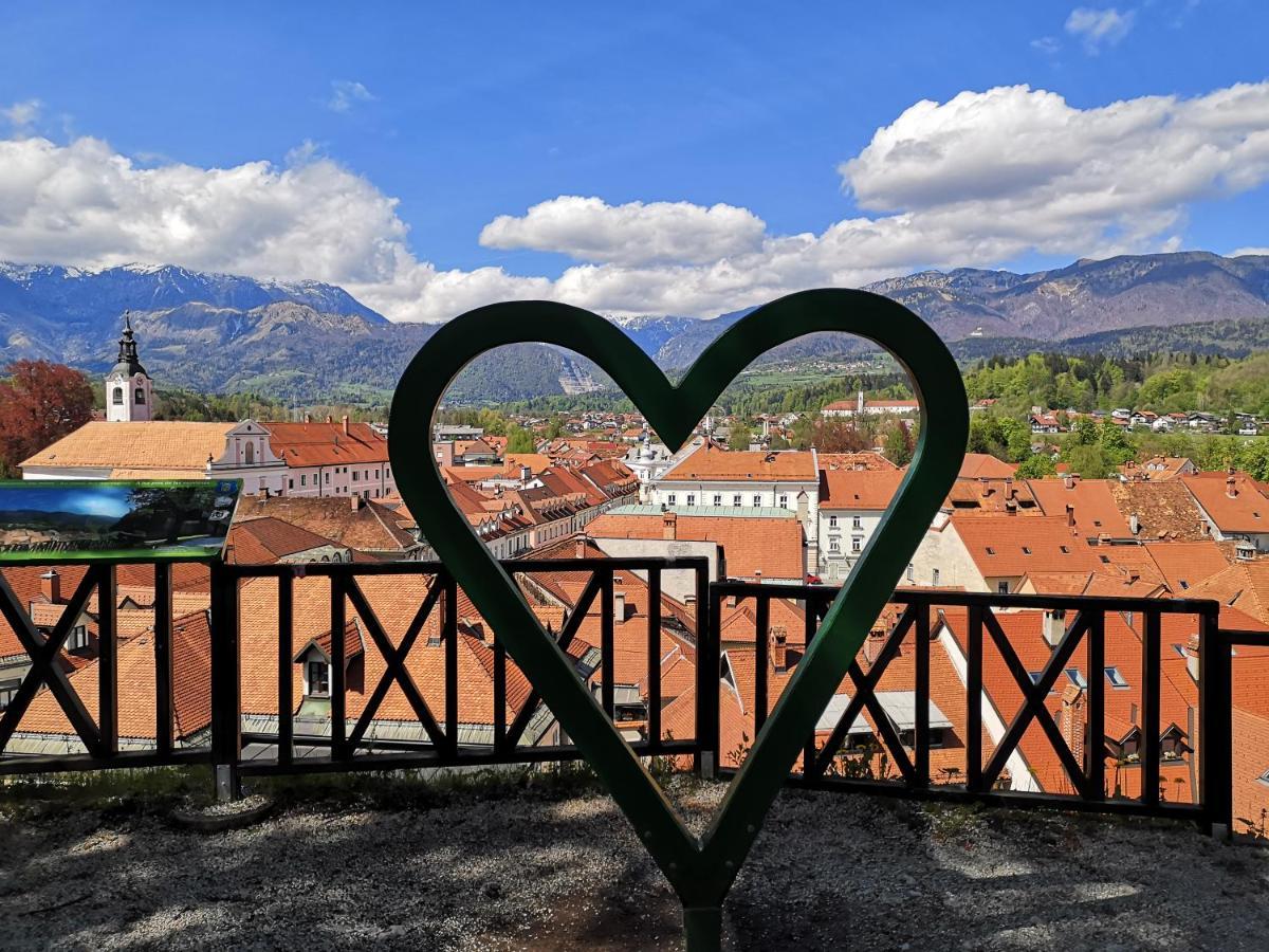 Apartma Tanja -Kamnik Esterno foto