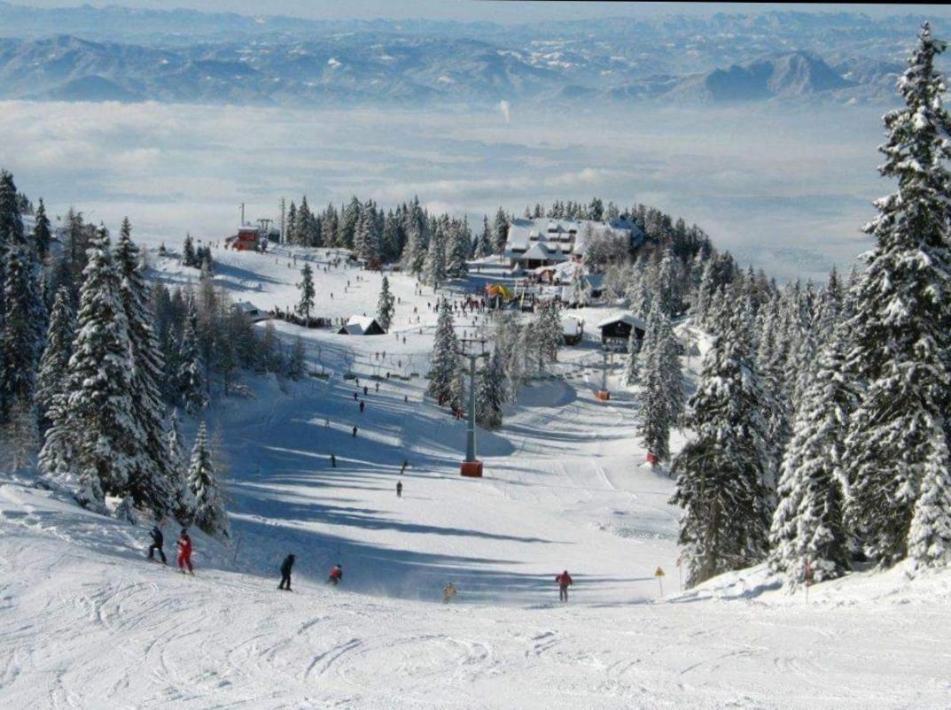 Apartma Tanja -Kamnik Esterno foto