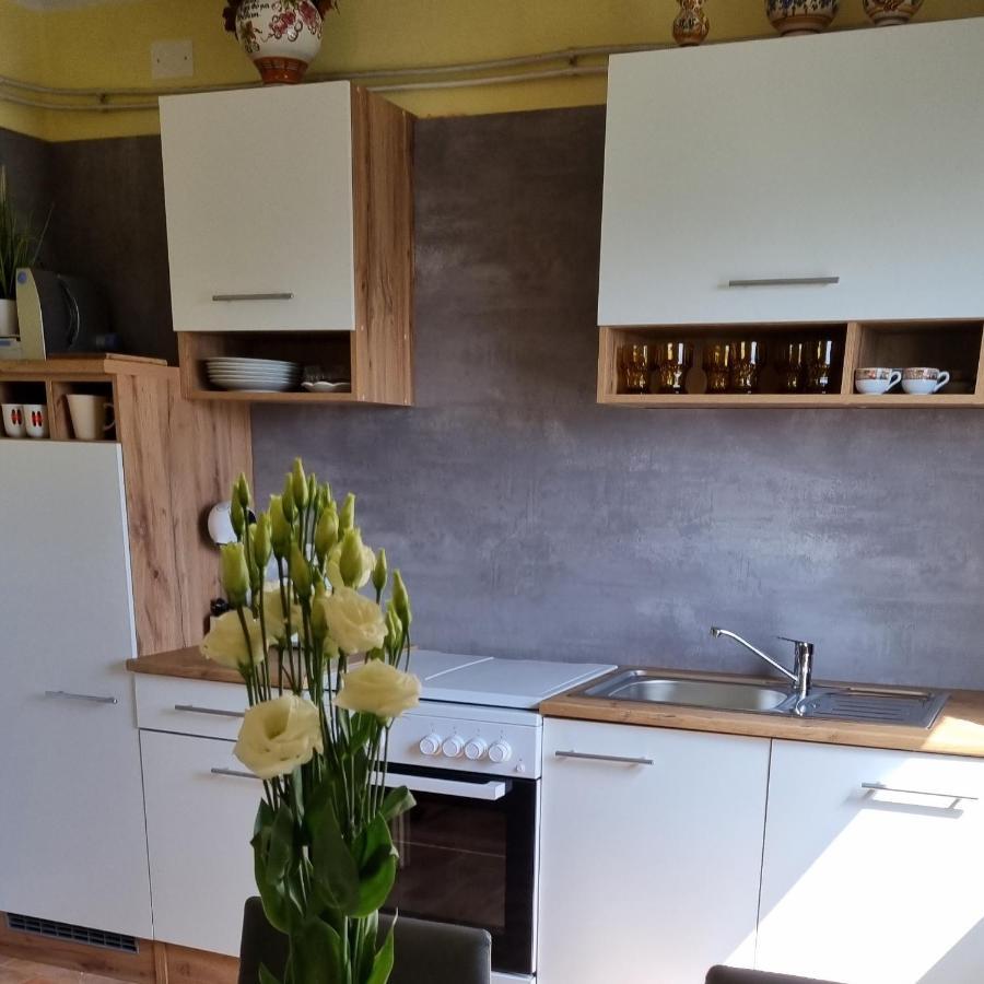 Apartma Tanja -Kamnik Esterno foto