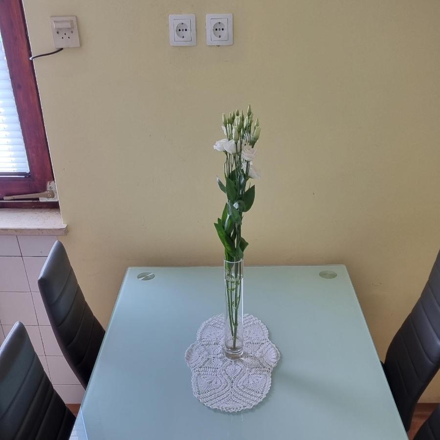 Apartma Tanja -Kamnik Esterno foto
